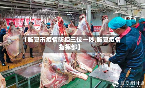 【临夏市疫情防控三位一体,临夏疫情指挥部】-第2张图片