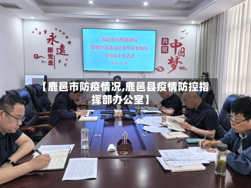 【鹿邑市防疫情况,鹿邑县疫情防控指挥部办公室】-第2张图片