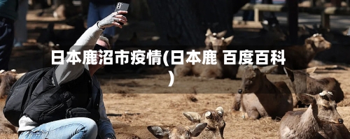 日本鹿沼市疫情(日本鹿 百度百科)-第1张图片