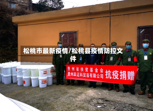 松桃市最新疫情/松桃县疫情防控文件-第1张图片