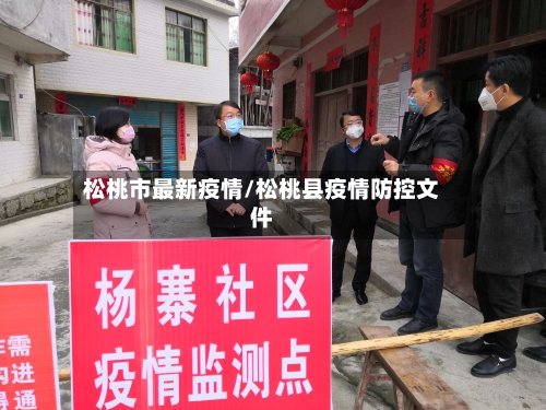 松桃市最新疫情/松桃县疫情防控文件-第2张图片