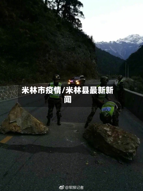 米林市疫情/米林县最新新闻-第2张图片