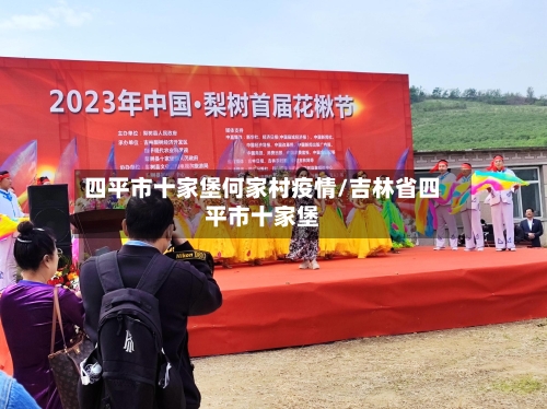 四平市十家堡何家村疫情/吉林省四平市十家堡-第1张图片