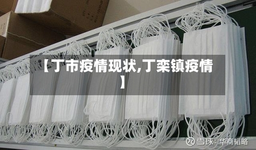 【丁市疫情现状,丁栾镇疫情】-第2张图片