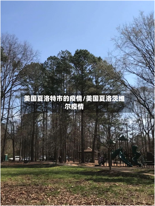 美国夏洛特市的疫情/美国夏洛茨维尔疫情-第2张图片