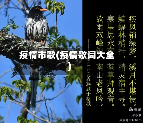 疫情市歌(疫情歌词大全)-第2张图片
