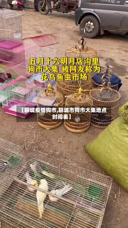【聊城疫情狗市,聊城市狗市大集地点时间表】-第2张图片