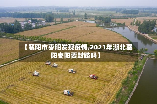 【襄阳市枣阳发现疫情,2021年湖北襄阳枣阳要封路吗】-第2张图片