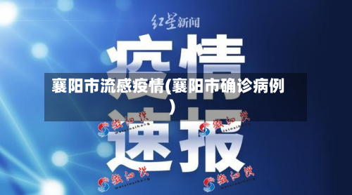 襄阳市流感疫情(襄阳市确诊病例)-第3张图片