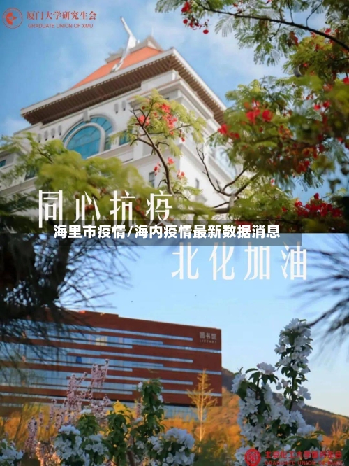 海里市疫情/海内疫情最新数据消息-第3张图片