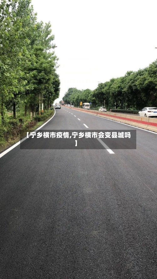 【宁乡横市疫情,宁乡横市会变县城吗】-第1张图片
