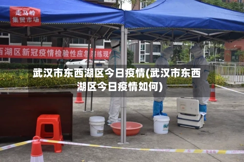武汉市东西湖区今日疫情(武汉市东西湖区今日疫情如何)-第1张图片