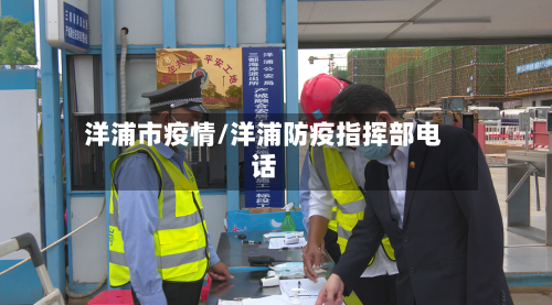 洋浦市疫情/洋浦防疫指挥部电话-第2张图片
