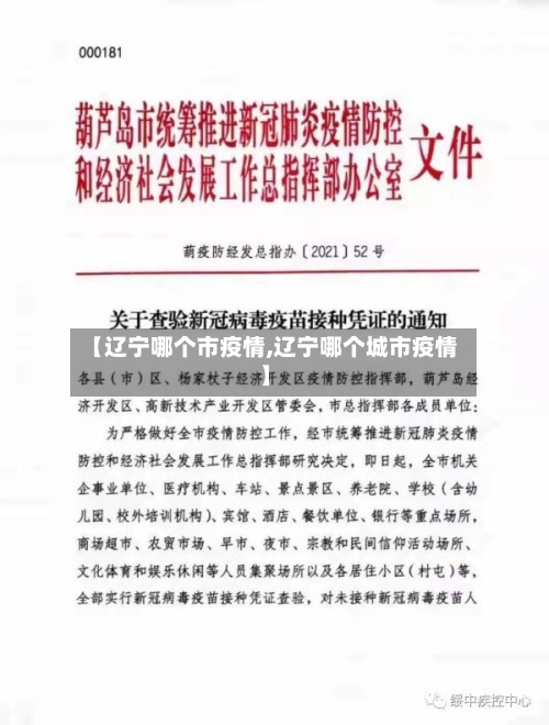 【辽宁哪个市疫情,辽宁哪个城市疫情】-第2张图片