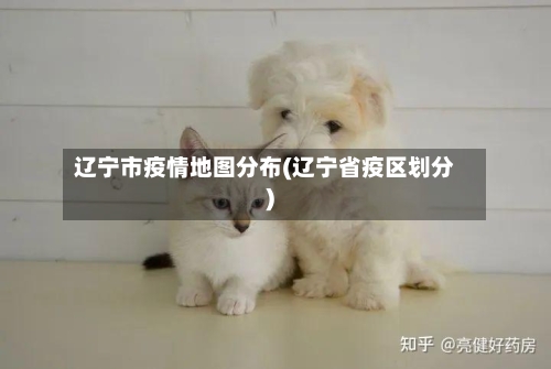辽宁市疫情地图分布(辽宁省疫区划分)-第1张图片