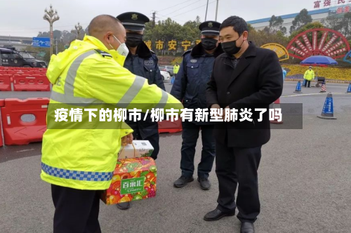 疫情下的柳市/柳市有新型肺炎了吗-第1张图片
