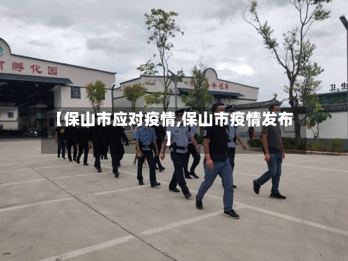 【保山市应对疫情,保山市疫情发布】-第2张图片