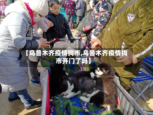 【乌鲁木齐疫情狗市,乌鲁木齐疫情狗市开门了吗】-第1张图片