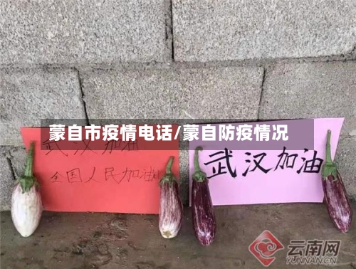 蒙自市疫情电话/蒙自防疫情况-第1张图片