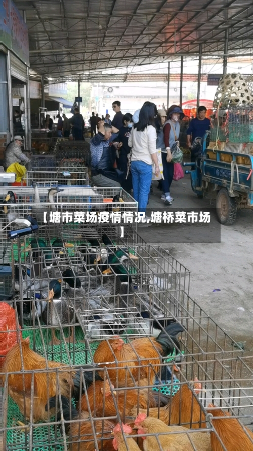 【塘市菜场疫情情况,塘桥菜市场】-第2张图片