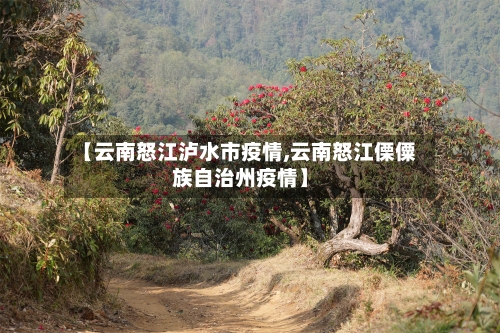 【云南怒江泸水市疫情,云南怒江傈僳族自治州疫情】-第1张图片