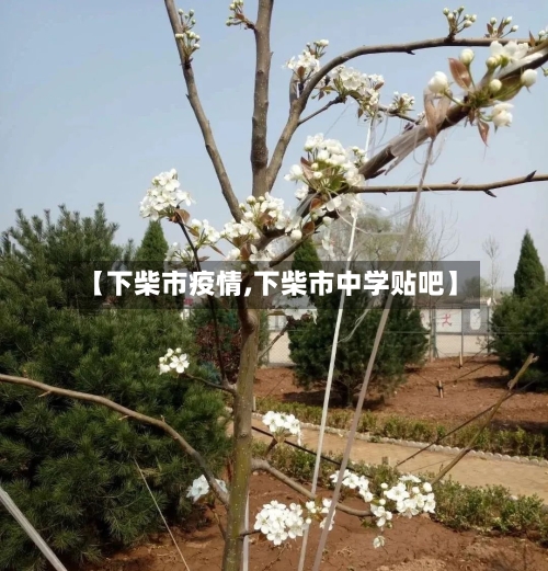 【下柴市疫情,下柴市中学贴吧】-第1张图片