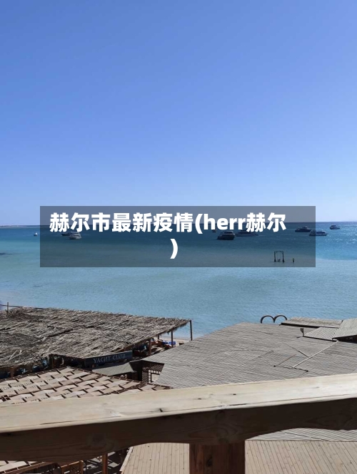 赫尔市最新疫情(herr赫尔)-第2张图片