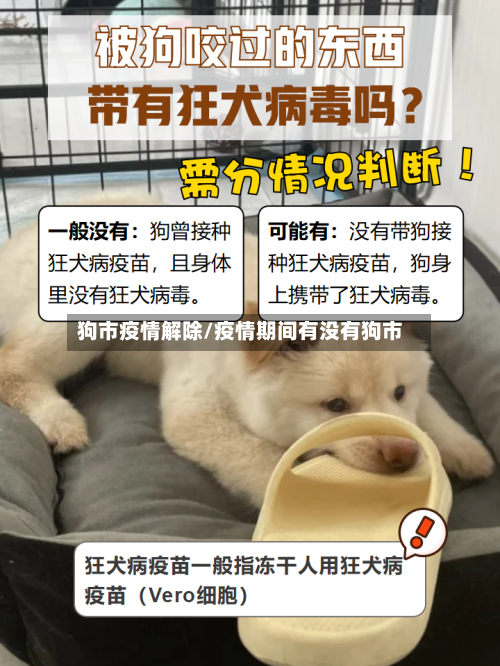 狗市疫情解除/疫情期间有没有狗市-第2张图片