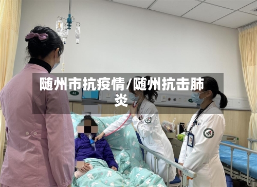 随州市抗疫情/随州抗击肺炎-第2张图片