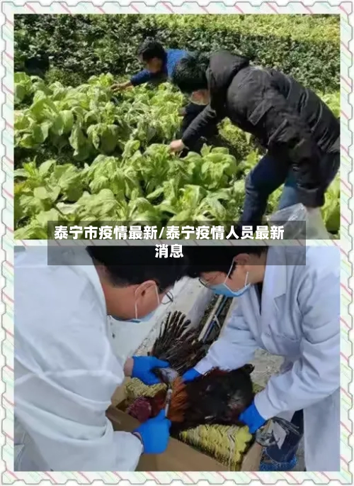 泰宁市疫情最新/泰宁疫情人员最新消息-第2张图片