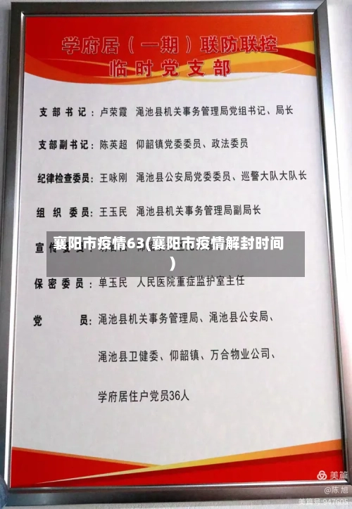 襄阳市疫情63(襄阳市疫情解封时间)-第3张图片