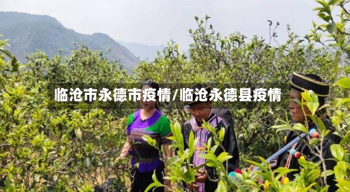 临沧市永德市疫情/临沧永德县疫情-第1张图片