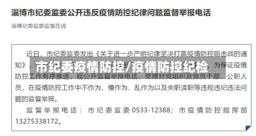 市纪委疫情防控/疫情防控纪检-第3张图片