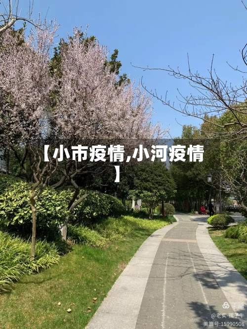 【小市疫情,小河疫情】-第3张图片