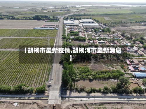 【胡杨市最新疫情,胡杨河市最新消息】-第3张图片