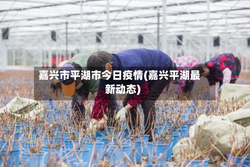 嘉兴市平湖市今日疫情(嘉兴平湖最新动态)-第1张图片