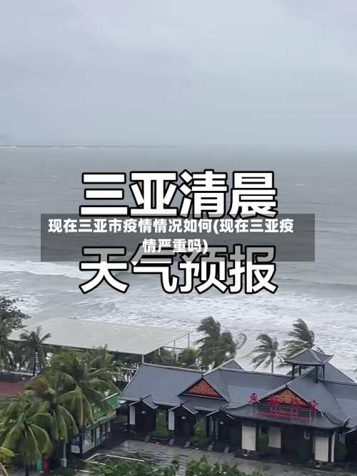 现在三亚市疫情情况如何(现在三亚疫情严重吗)-第2张图片